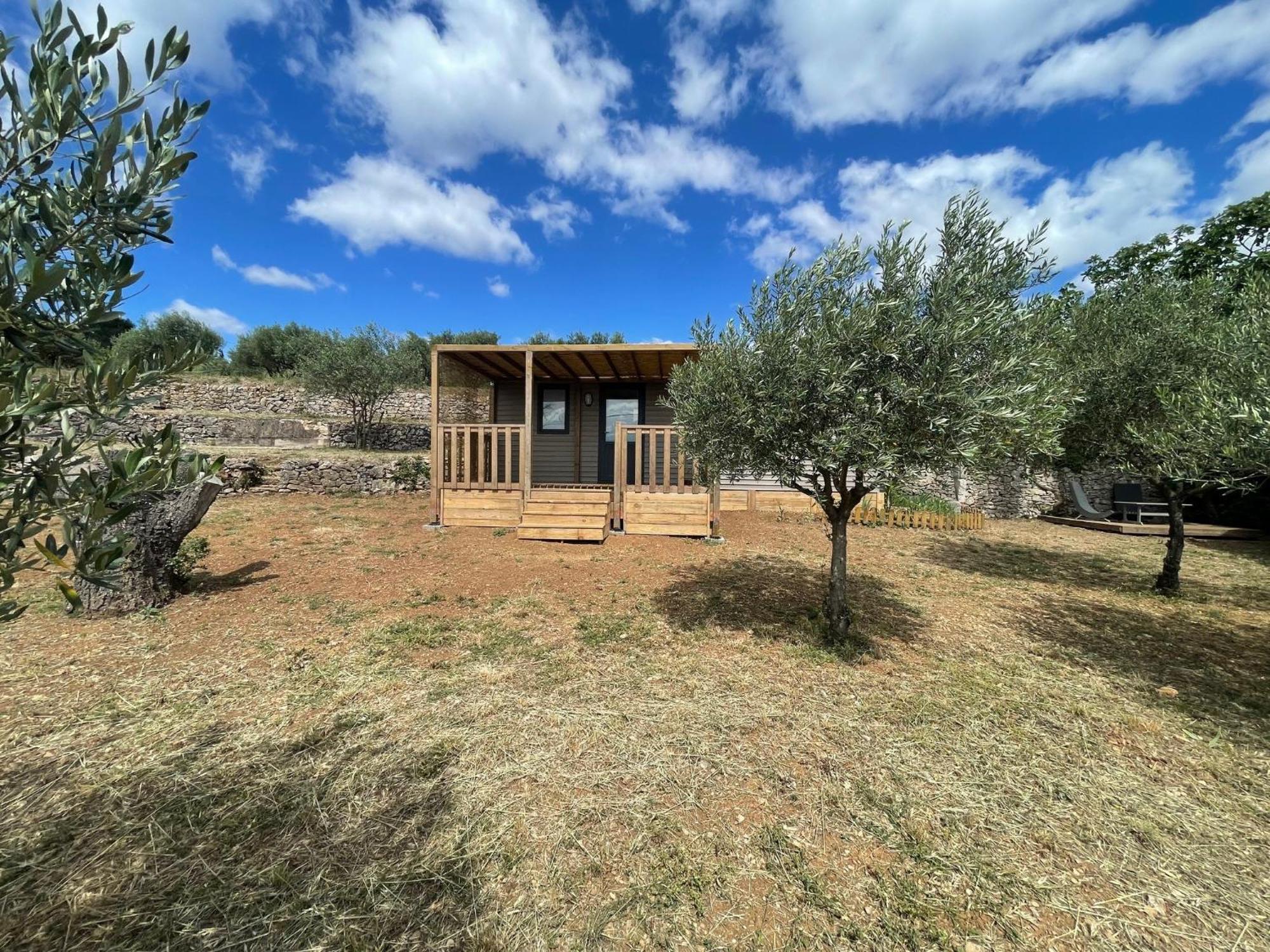 Mobil-Home En Pleine Nature A 3 Mins Du Lac Du Salagou Avec Vue Panoramique Lacoste  Dış mekan fotoğraf